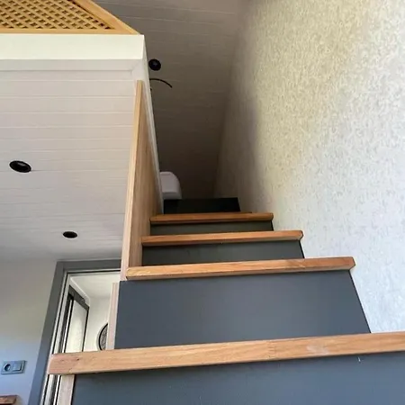 Bodrum Artemis And Wellness Campsite Derekoy (Bodrum)