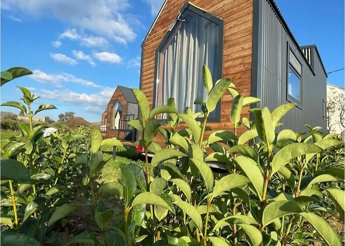 Bodrum Artemis And Wellness Derekoy (Bodrum)