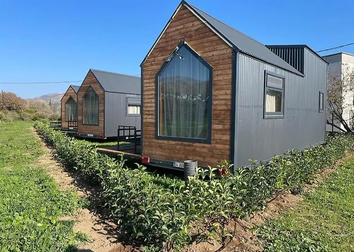 Bodrum Artemis And Wellness Kemp