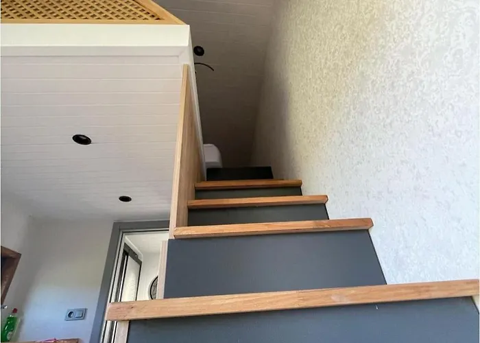 Bodrum Artemis And Wellness Kemp Derekoy (Bodrum)